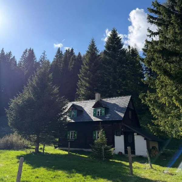 Almhütte am Steirischen Seeberg, готель у місті Turnau