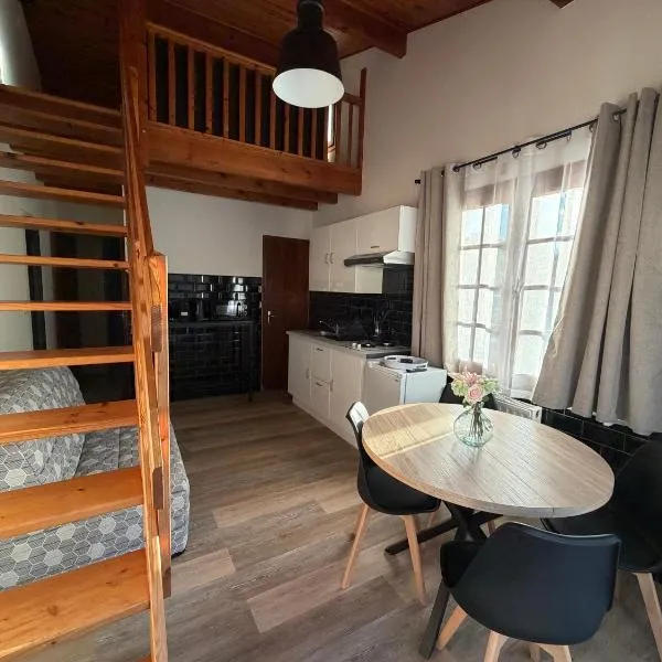 Le petit châtaignier , T2 cosy proche lac et océan, hotel sa Biscarrosse