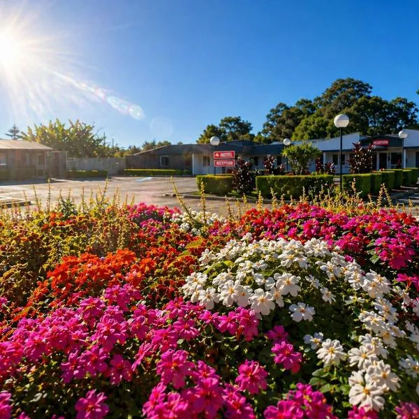 Jolly Knight Motel, hotel 