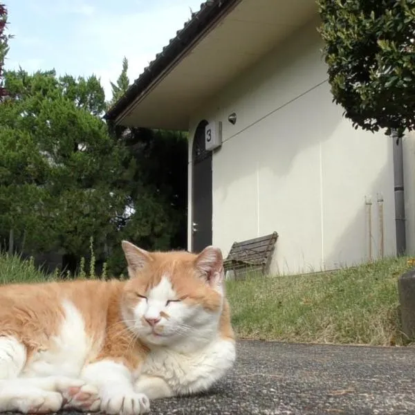 Tabi No Yado Harusame, khách sạn ở Kumano