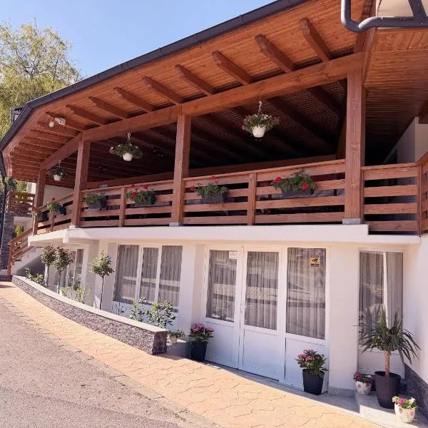Pensiunea Laura, hotell i Chişcău