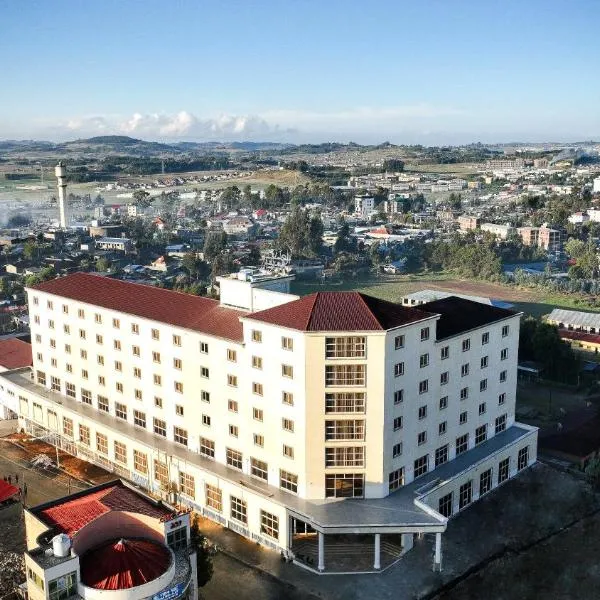 Haile Hotel Debre Birhan, hotel en Debre Birhan