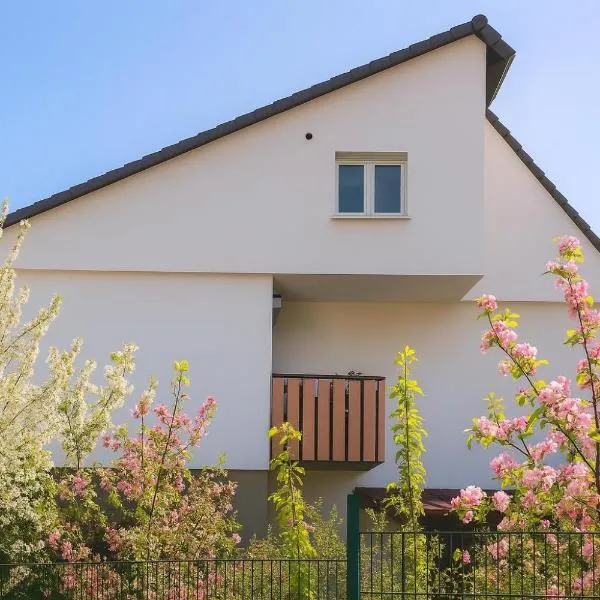 Mc Garry Apartments and Garden, hotel di Bad Krozingen