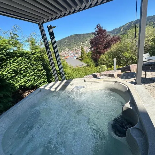 App le nid d'abeille pour 2 pers, spa privée, belle vue avec terrasse, hotel i Gérardmer
