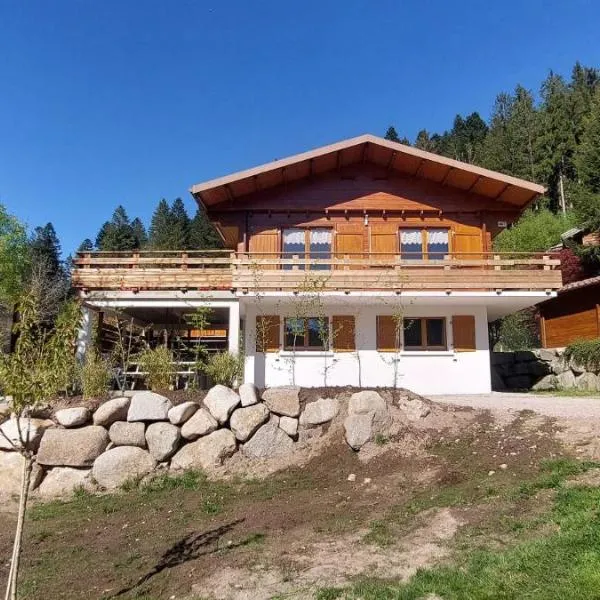 Chalet "le Ské", SPA privatif, dog friendly terrain clôturé, garage, hotel v mestu Gérardmer