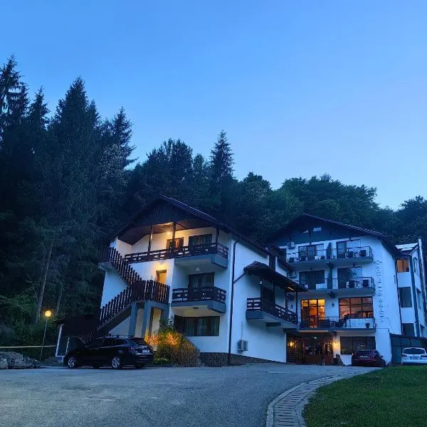 Hotel Trei Brazi, хотел в Бъйле Оланещи