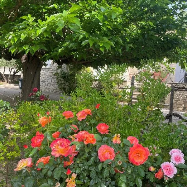 L'appart Thé - Charme apaisant au coeur des Alpilles, hotel din Paradou