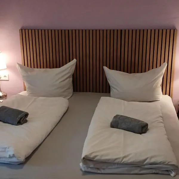 Hotel Birn，安斯巴赫的飯店