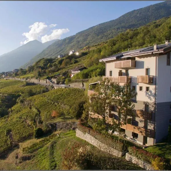 Wine Hotel Retici Balzi, hotel in Castello dellʼAcqua