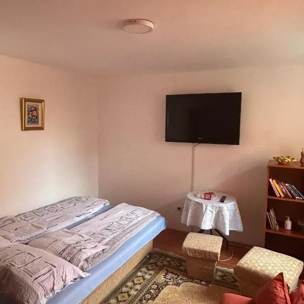 Viesnīca Apartman Mejdan Tuzla pilsētā Mošnik