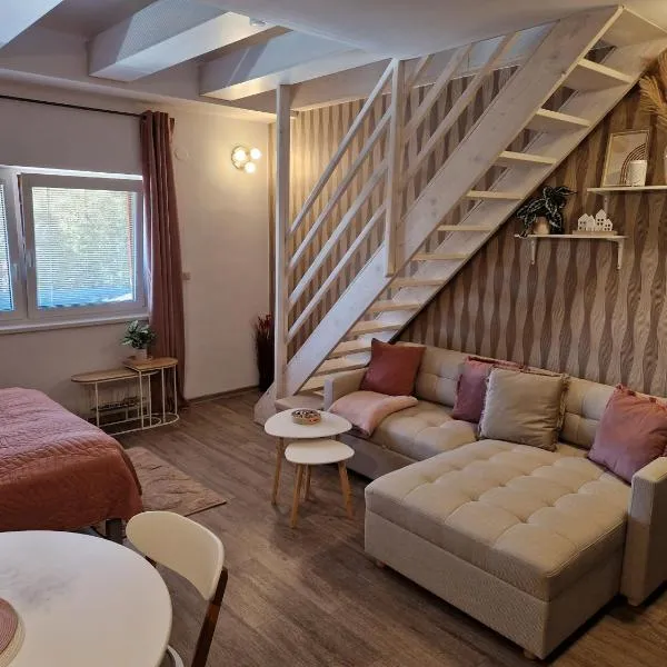 Apartmán Sophia 6、ヴェルケー・ロシニのホテル