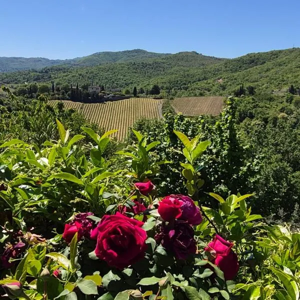 Un piccolo Paradiso nel Chianti più selvaggio, hotel Greve in Chiantiban