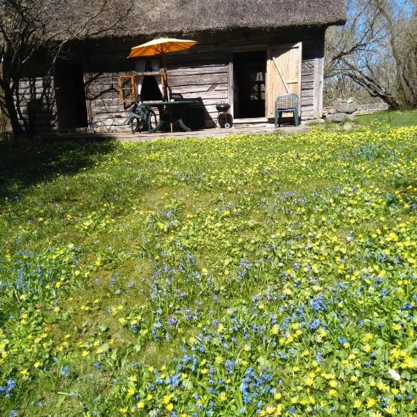 Tornimäe में, होटल Paali cottages