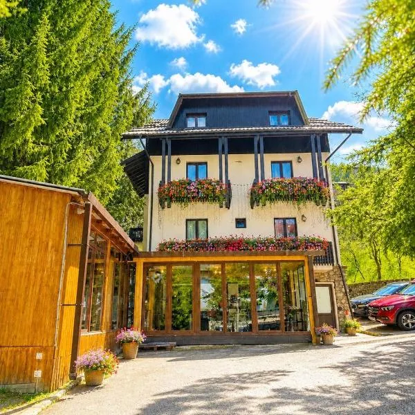 Cabana Din Poienita, viešbutis mieste Poiana Brasov