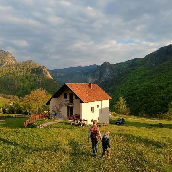 Family owned self sufficient ECO farm TARA, hotell sihtkohas Pljevlja