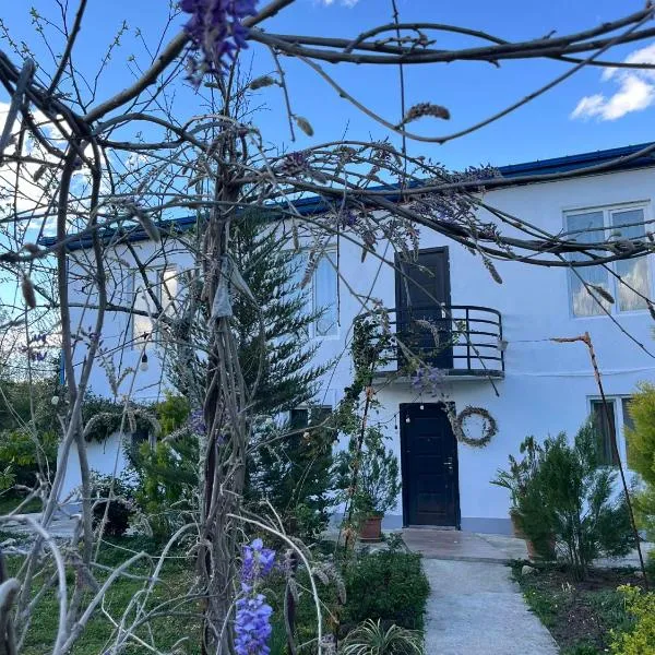 NOVEL HOUSE, hotel in Martvili