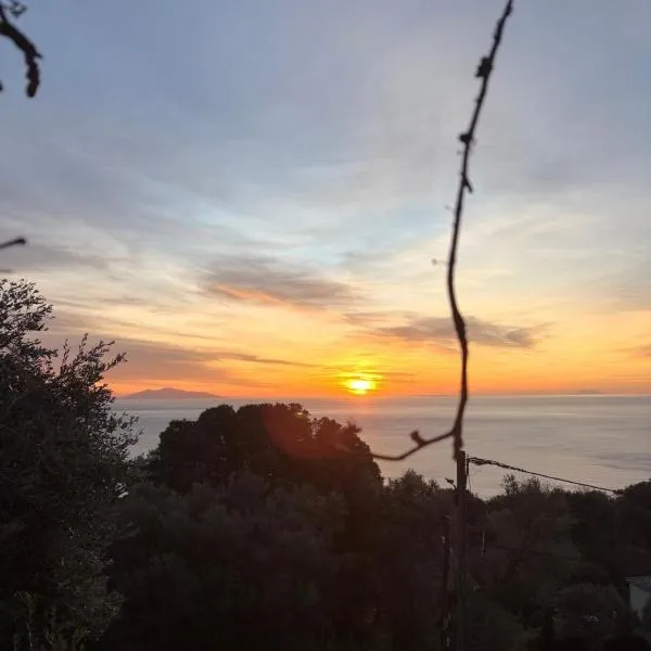 Villa la serella, hotell sihtkohas Brando