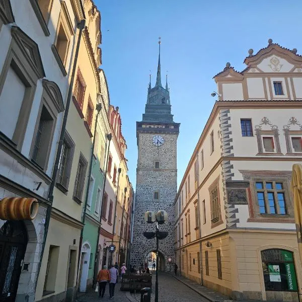 Spacious apartment near Zelená brána with a terrace, hotel v destinaci Pardubice