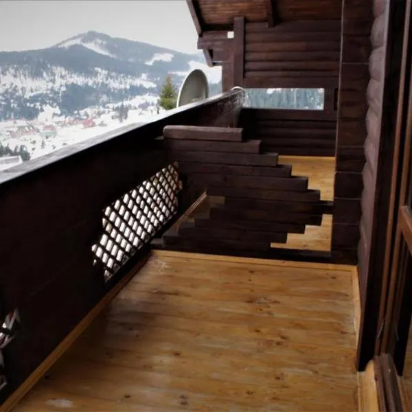 Chalet Trushnyi, Hotel in Poljanyzja