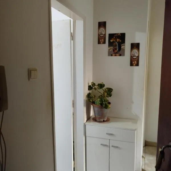 Montijo sharing and personal room available overnight stay, hotel in Montijo