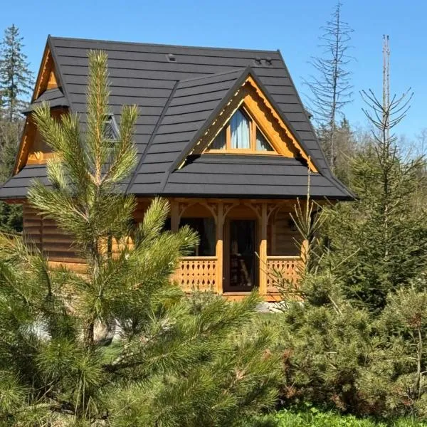 Luxury chalet WRÓBLOWA CHAŁUPKA przy Dolinie Chochołowskiej, hotel a Kościelisko