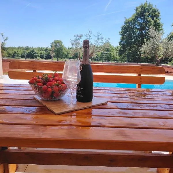 Villa Terra Istria, hotel v destinaci Bokordići