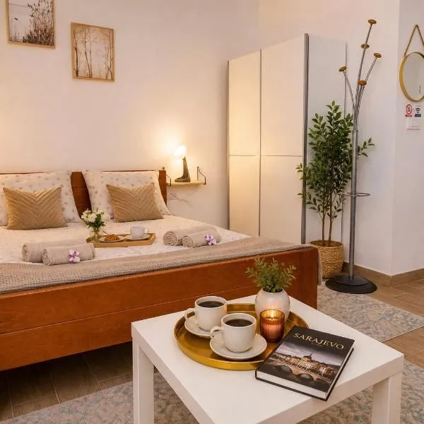 Charm Apartment-Cathedral area-Self Check-in, hotel in Sarajevo