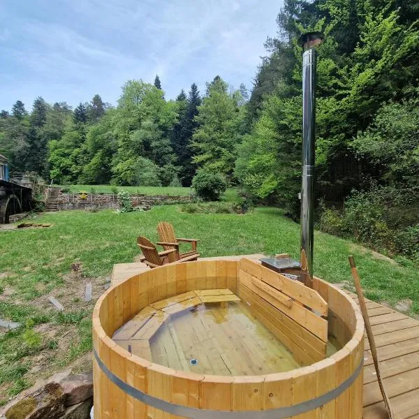 Gite Pivoine et Bain Nordique dans les Vosges du Nord, Hotel in Dossenheim-sur-Zinsel