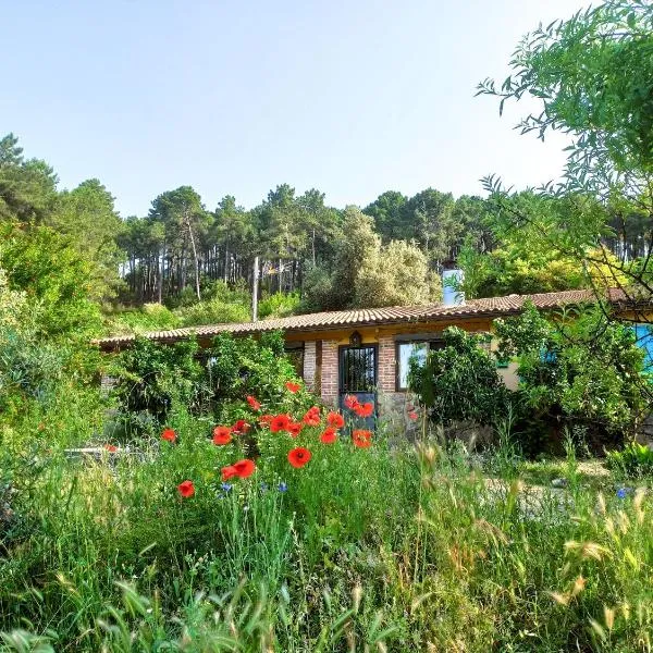 Casa Rural Las Gesillas, מלון בארנס דה סן פדרו