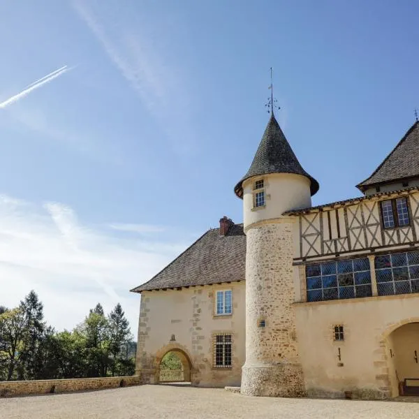 Château du Mas de l'Âge, Hotel in Couzeix
