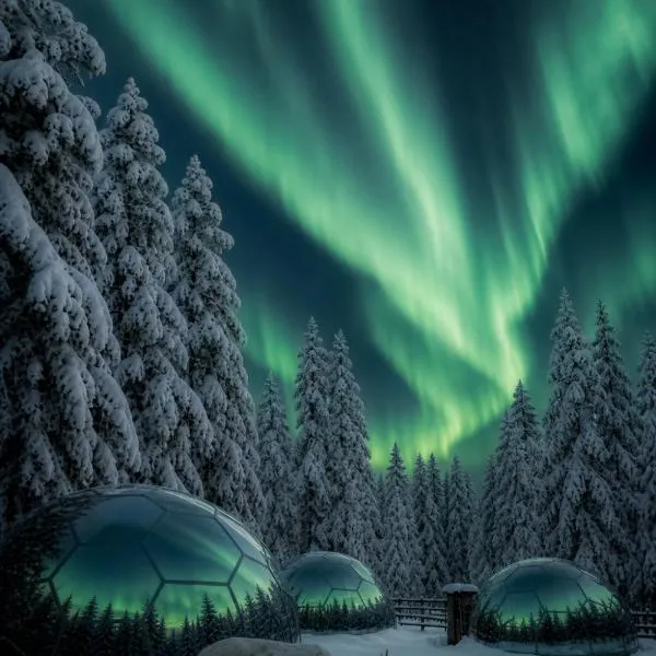 SKOG Aurora Glass Igloos, khách sạn ở Kalix