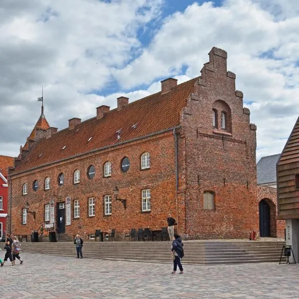 Birksø Hotels Ribe, hotelli kohteessa Ribe