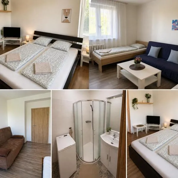 ZAROHEM 2 bedrooms APARTMENT in center with balcony, מלון בברנו