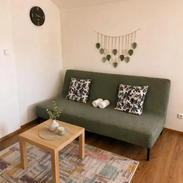 Zoubkova apartment - 2 rooms near exhibition center, hotel in Nový Lískovec
