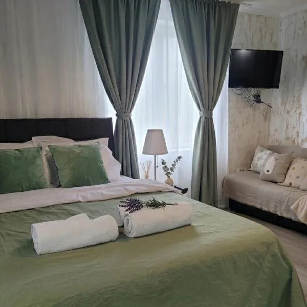 Casa Rahova - centru civic, hotel v destinaci Brăila