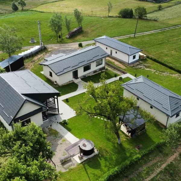 Complex Dealu'Frumos: Întorsura Buzăului şehrinde bir otel