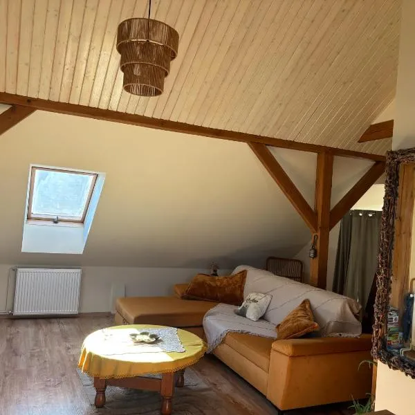 Apartament 2-pokojowy, z atrakcjami dla dzieci, hotel 