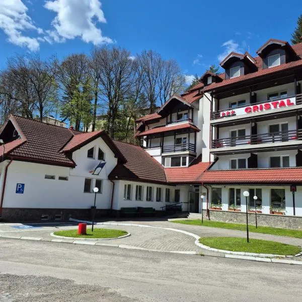 Cristal Sinaia, готель у місті Сіная