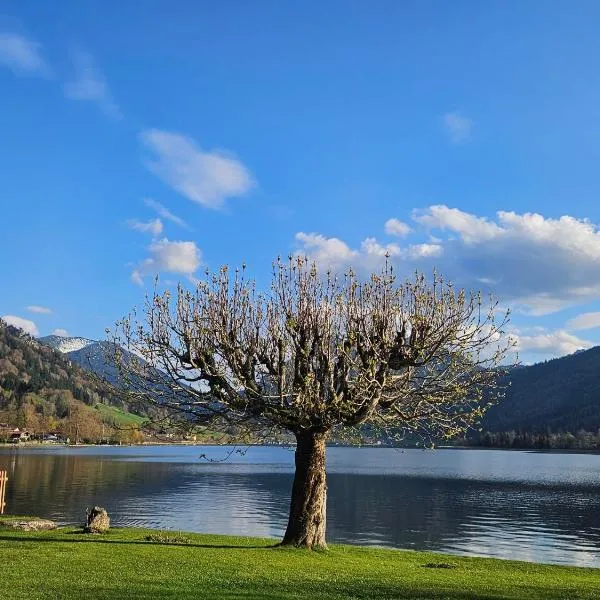 Ferienwohnungen am See - Hinterseer, Hotel in Schliersee