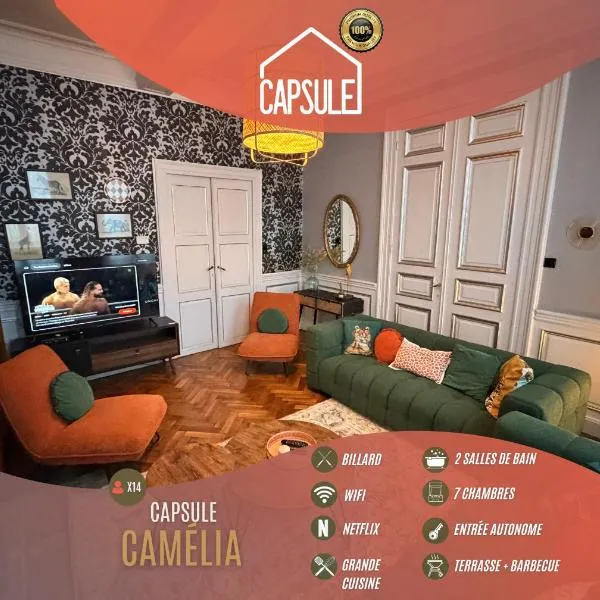 Capsule camelia un charme Montois, Hotel in Mons