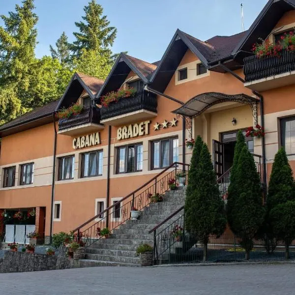 Pensiune Cabana Bradet, viešbutis mieste Şimleu Silvaniei
