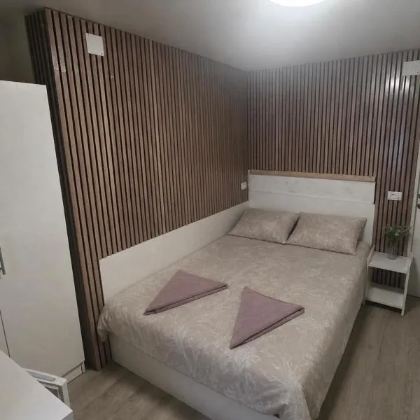 Casa de Cultura house, hotel din Constanţa