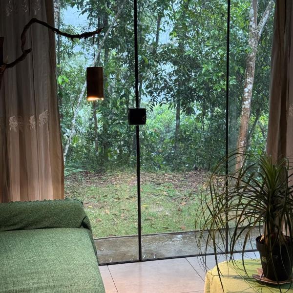 Casa Bambu