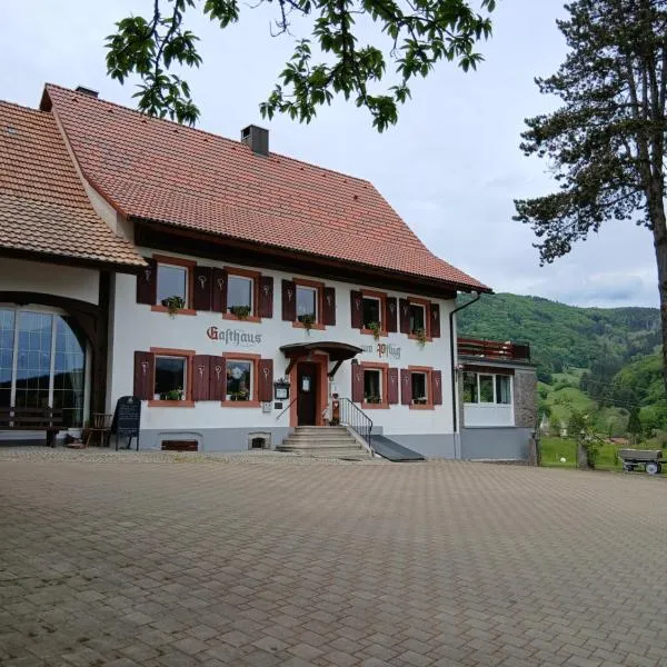 Viesnīca Hotel Landgasthof zum Pflug pilsētā Steinen
