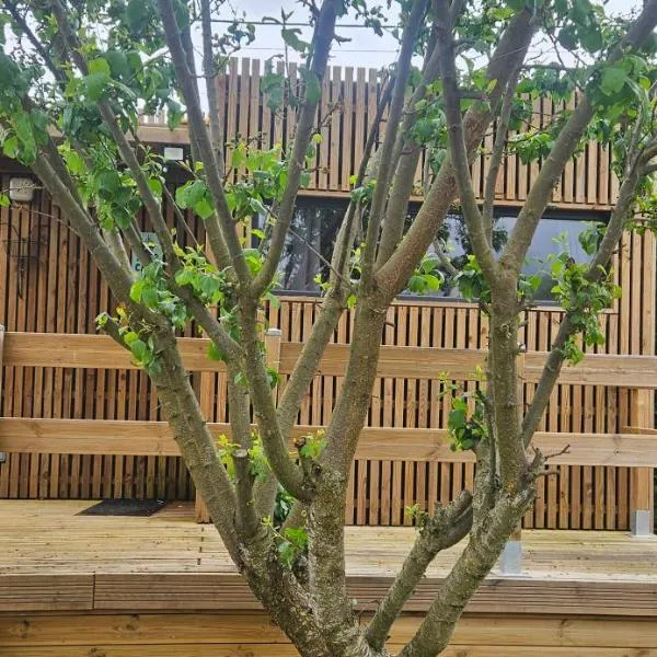Chalet bois pour 2 avec balnéo, hotel in Le Puy-en-Velay