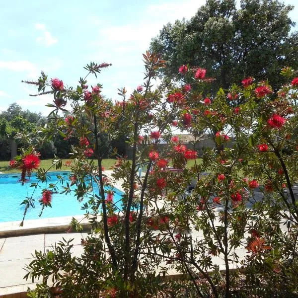 appartement indépendant avec jardin, hotel i Saint-Gilles