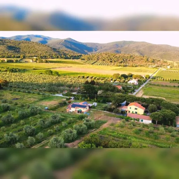 Pian di Rocca Country, hotel a Castiglione della Pescaia