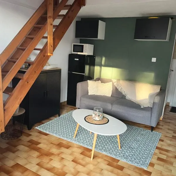 Vacances Cap d'Agde 1 chambre, 1 mezzanine, parking et piscine、カップ・ダグドのホテル