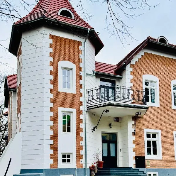 Sándor János Villa, Hotel in Sovata