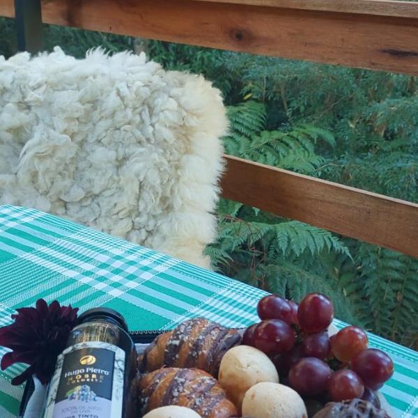 Cabana em gramado - Foto 4